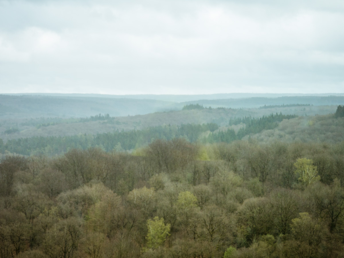 Enkele dagen in de Belgische Ardennen